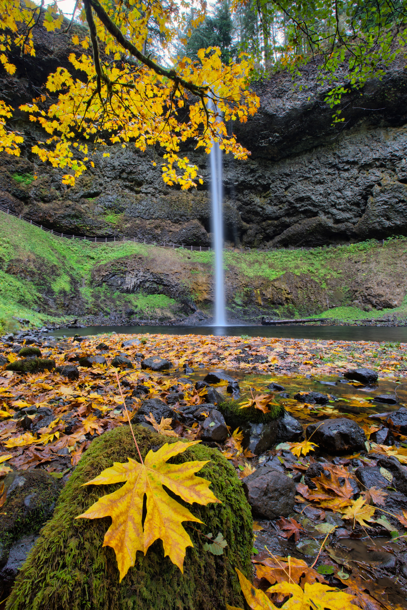 South Falls, Autumn View | Shutterbug